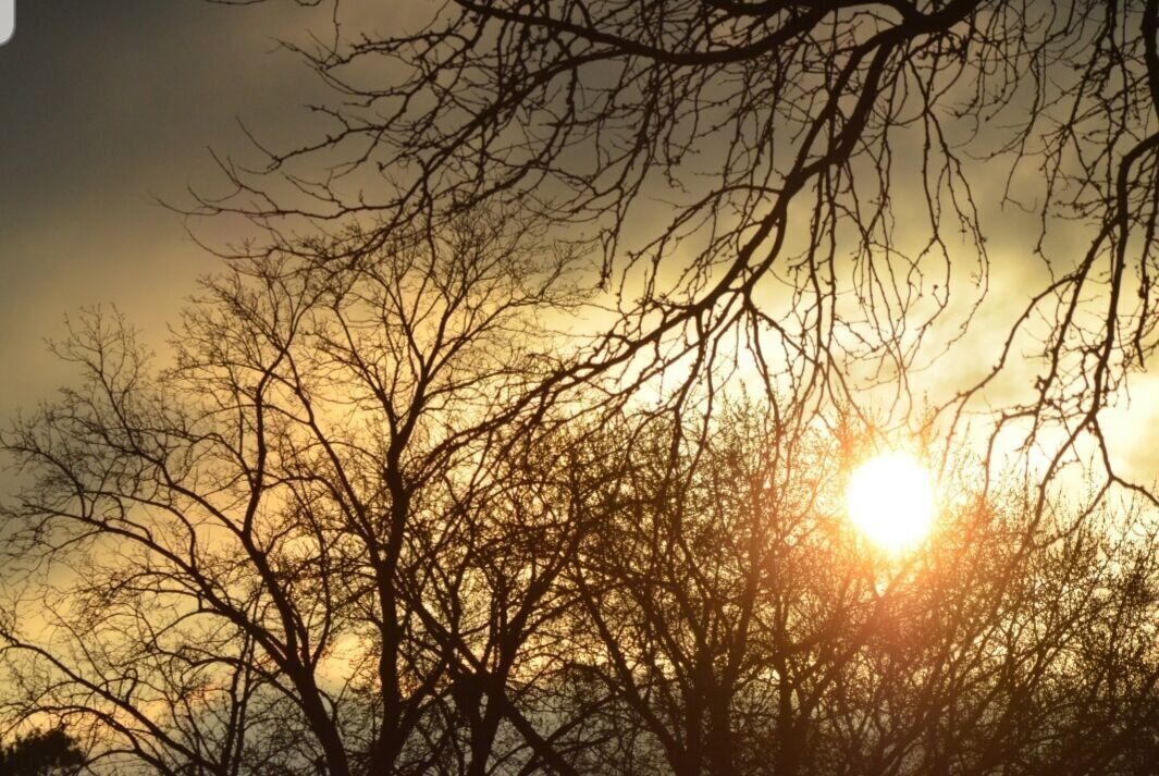 Sunrise in the neighborhood